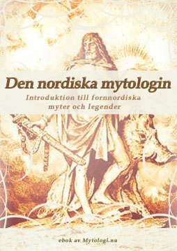 Ebok omslag