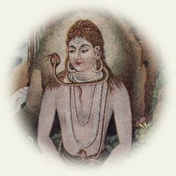 Shiva illustration